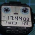 Casio DGW300 - Modulo 828